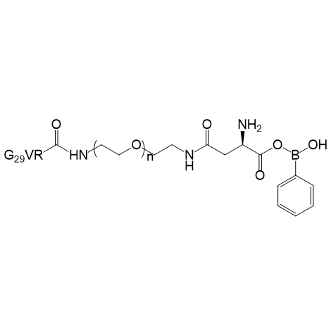 RVG29-PEG-PASP-Phenylboronic acid,RVG29 修饰的聚乙二醇-聚天冬氨酸-苯硼酸共聚物