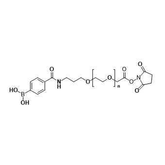 PBA-PEG-NHS的分子结构与化学特性  