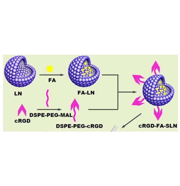DSPE-PEG-Mal，DSPE-PEG，coumarin-6 在脂质微球cRGD-FA-SLN的应用