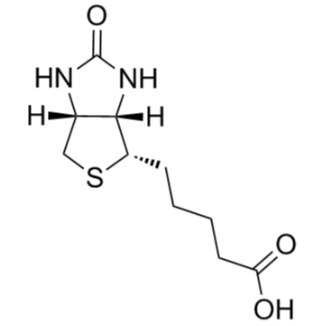 EnoxaparinSodium-Biotin依诺肝素钠偶联生物素的科研应用