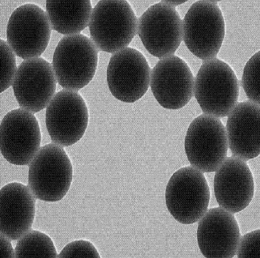 SA-SiO2 Microspheres​,链霉亲和素-二氧化硅微球​