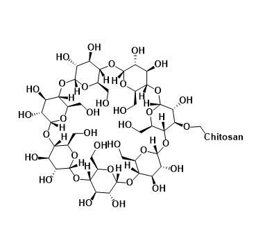 CS-β-CD  壳聚糖-β-环糊精聚合物的产品综述