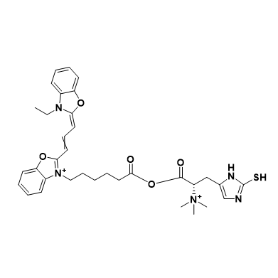 花菁染料CY2标记麦角硫因  CY2-Ergothioneine的结构式