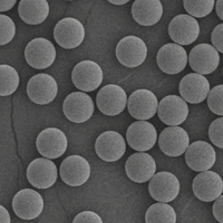 GMA-PS microspheres,环氧基聚苯乙烯微球