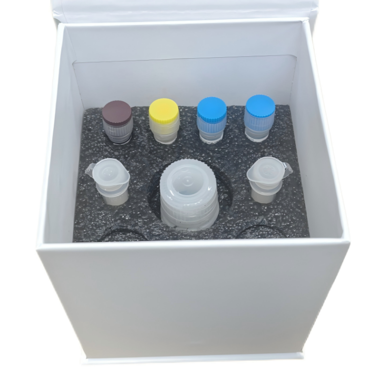 Singlet Oxygen Detection Kit,单线态氧检测试剂盒