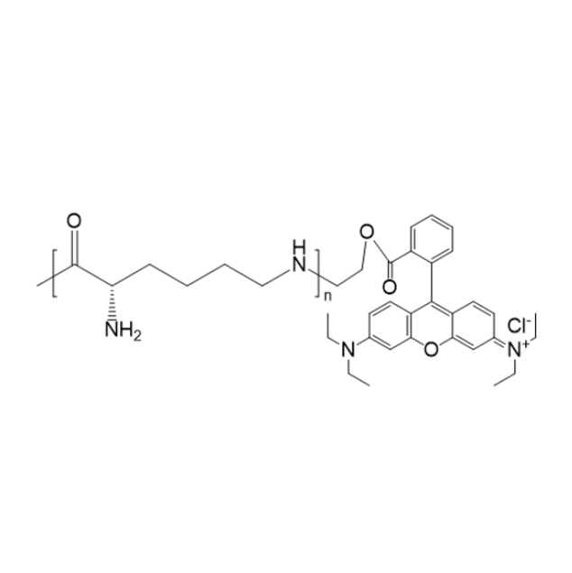 pH 值对 PLL-RB 稳定性及荧光性能的影响