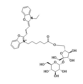 菁染料CY2标记蔗糖  CY2-Sucrose的产品使用指南