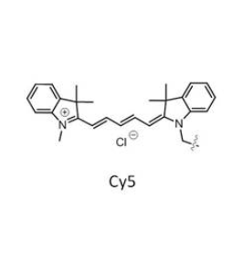 Cy5结构式
