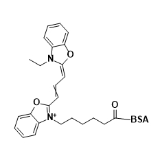CY2-BSA  菁染料CY2标记牛血清白蛋白的市场分析