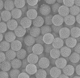 Monodisperse SiO2 Nanospheres,单分散二氧化硅纳米粒子