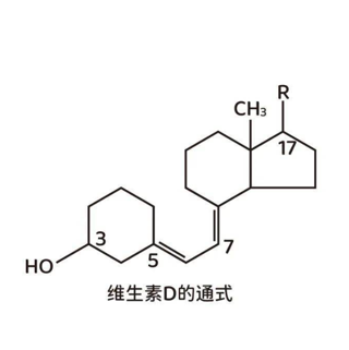 PEG-Vitamin D的化学结构与修饰原理  