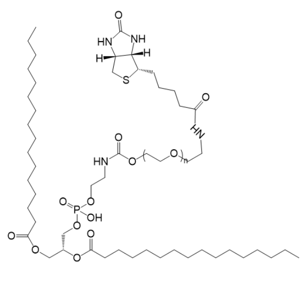 DPPE-PEG-Biotin结构式