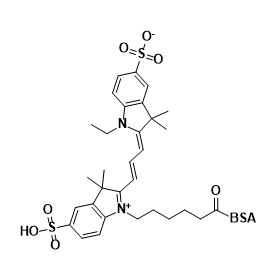 花菁素CY3标记牛血清白蛋白  CY3-BSA的产品使用指南