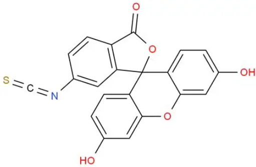 荧光标记壳聚糖水杨酸复合物的制备方法