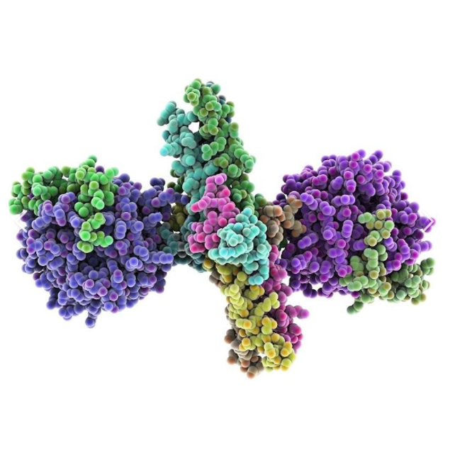 CY3-Bovine fibrinogen  花菁染料CY3-牛纤维蛋白原偶联物的产品保存指南