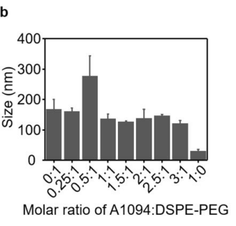 A1094: DSPE-PEG2000不同摩尔比下的A1094j-聚集体纳米薄膜的DLS