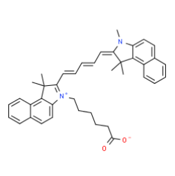 CY5.5