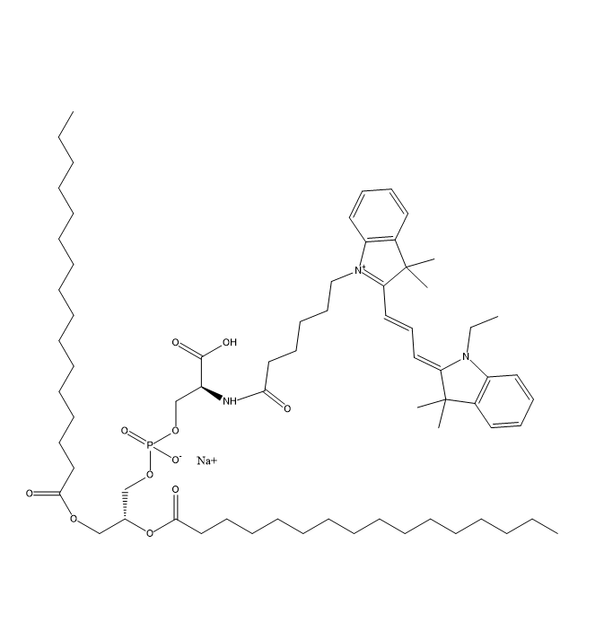 CY3-DPP  菁染料CY3标记二酮吡咯并吡咯的产品称量技巧