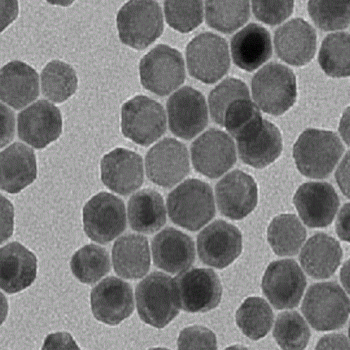 Hollow MnO2 Nanoparticles,中空二氧化锰