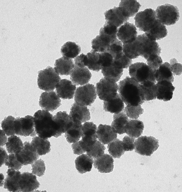 Hollow Mesoporous MnO2 NPs,中空介孔二氧化锰纳米粒子