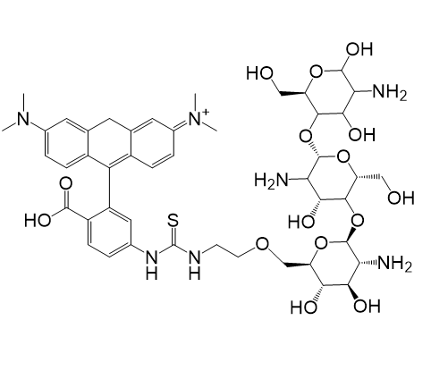 TRITC-Chitosan,四甲基罗丹明异硫氰酸酯-壳聚糖​