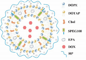 DSPE-PEG2000在制备DOX和EPA负载脂质体中的应用