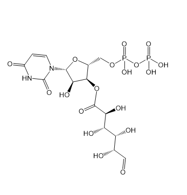 UDP-Glucuronic acid,尿苷二磷酸-葡萄糖醛酸​