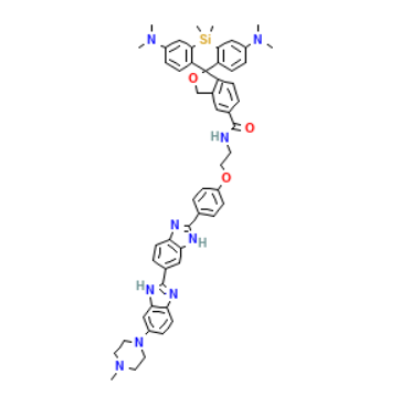 5-HMSiR-Hochest的使用方法与注意事项  