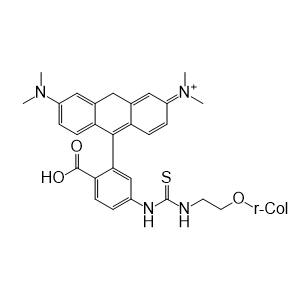 TRITC-r-Col,四甲基罗丹明异硫氰酸酯-重组胶原蛋白​
