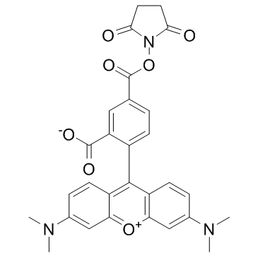 5-TAMRA-NHS在不同pH下的稳定性  