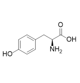 基于聚乳酸-羟基乙酸共聚物-酪氨酸的多功能纳米探针的制备与应用