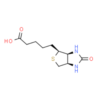 生物素结构式