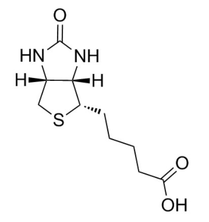 生物素结构式
