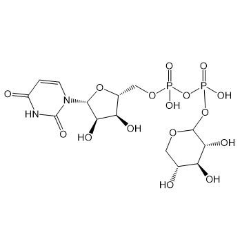 UDP-Xyl,尿苷二磷酸-木糖​