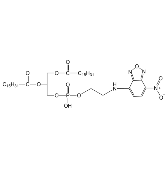 DPPE-NBD 在不同溶剂中的荧光性质研究