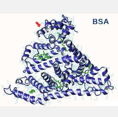 BSA