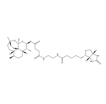 artesunate-Biotin
