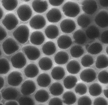 Mesoporous TiO2​,介孔二氧化钛​