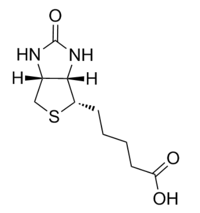 生物素结构式