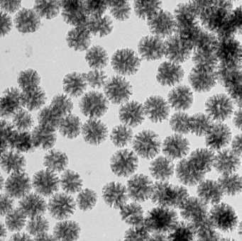 多级孔道药物递送载体 DPSNs