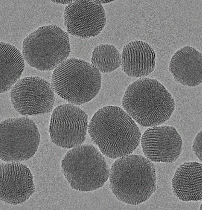 Blank ROS-responsive PLGA particles​,空白活性氧响应的聚乳酸-羟基乙酸共聚物粒子​