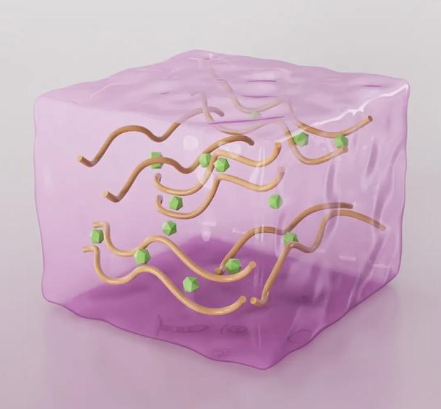 Empty CS-Dextran hydrogel​,空载壳聚糖-葡聚糖水凝胶​