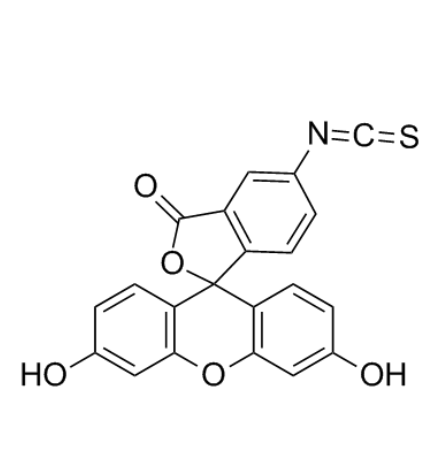 FITC结构式
