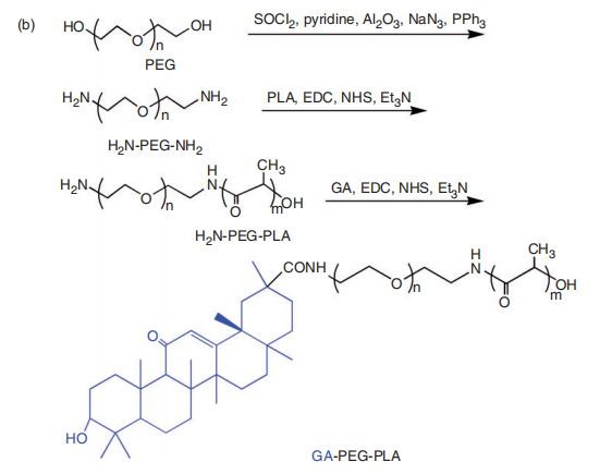 GA-PEGPLA共聚物过程